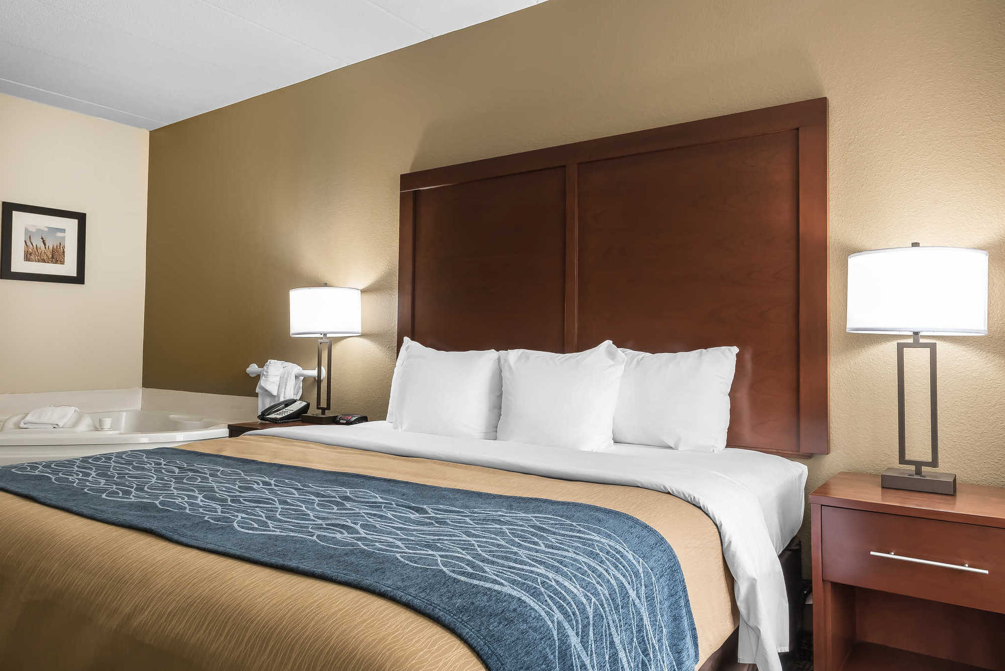 Comfort Inn Indianapolis North - Carmel Chambre photo