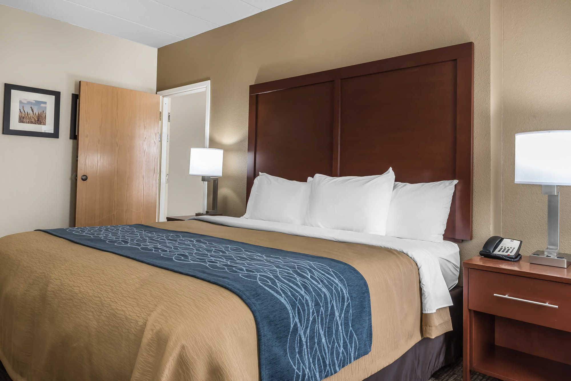 Comfort Inn Indianapolis North - Carmel Chambre photo